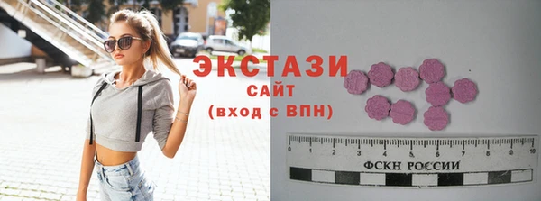 молекула духа Осташков