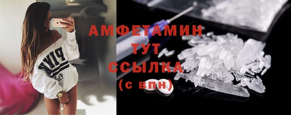 молекула духа Осташков