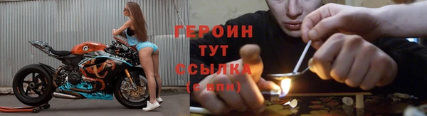 молекула духа Осташков