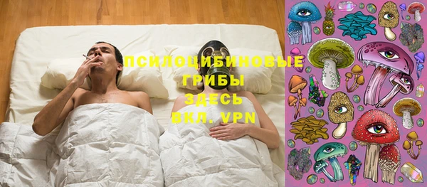молекула духа Осташков