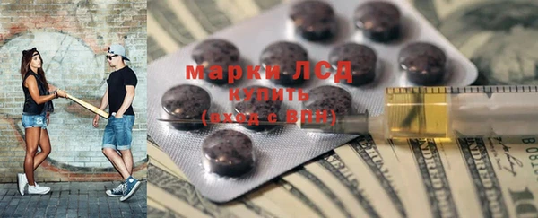молекула духа Осташков