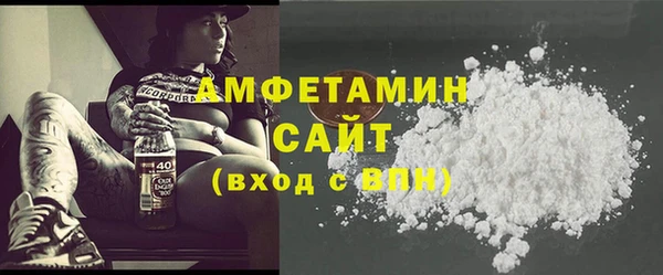 молекула духа Осташков