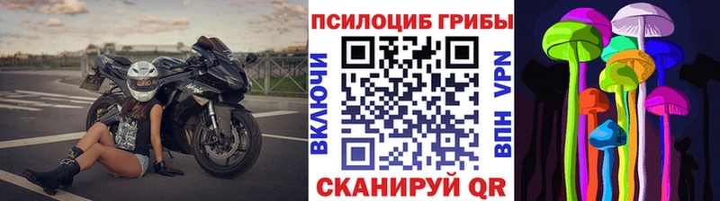 Псилоцибиновые грибы прущие грибы  Анива 