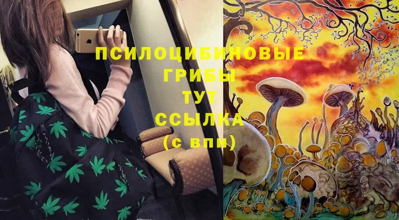 купить   гидра зеркало  Псилоцибиновые грибы Cubensis  Анива 